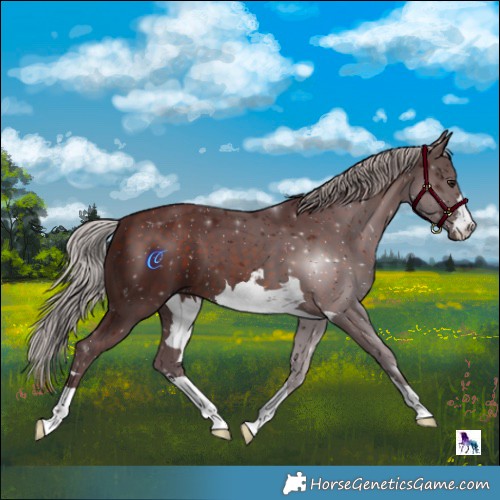 Horse Color:Chocolate Silver Brown Mushroom 