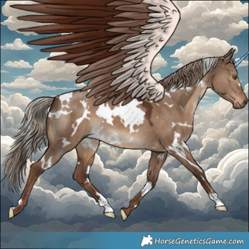 Horse Color:White Spotted Liver Red Dun
