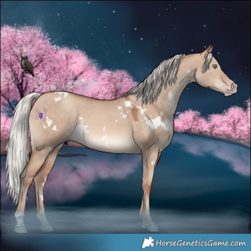 Horse Color:White Spotted Silver Sable Champagne Dun 