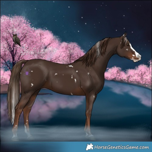 Horse Color:White Spotted Liver Chestnut Splash 