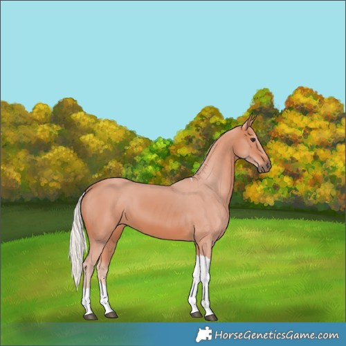 Horse Color:Silver Brown Tobiano 