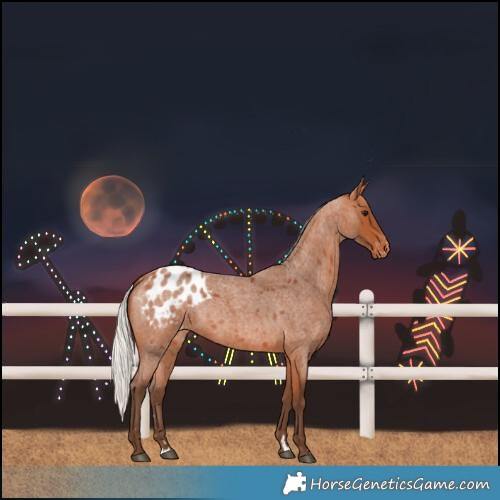 Horse Color:Silver Bay Roan Blanket 