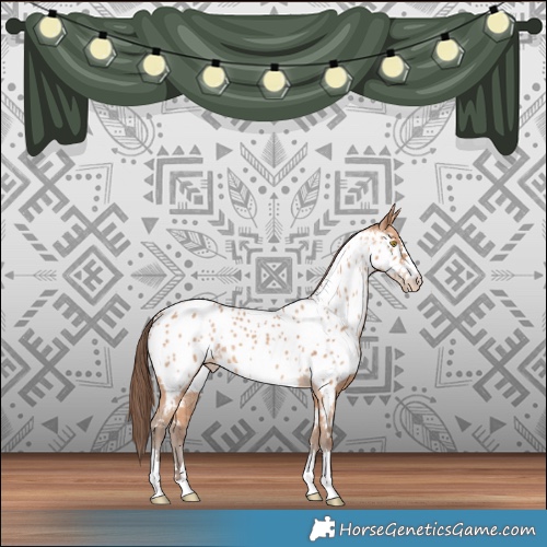 Horse Color:Amber Champagne Near Leopard