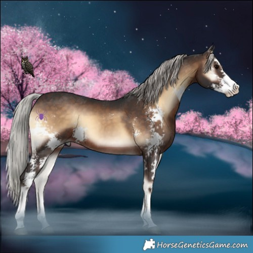 Horse Color:Silver Brown Onyx Sabino 