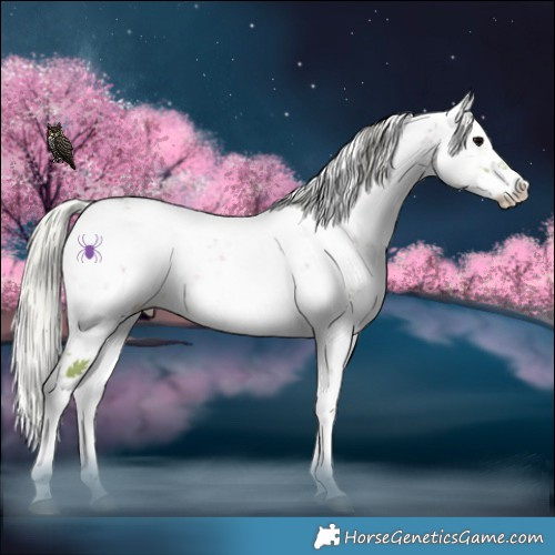 Horse Color:Watercolor Silver Blue Onyx Sabino 