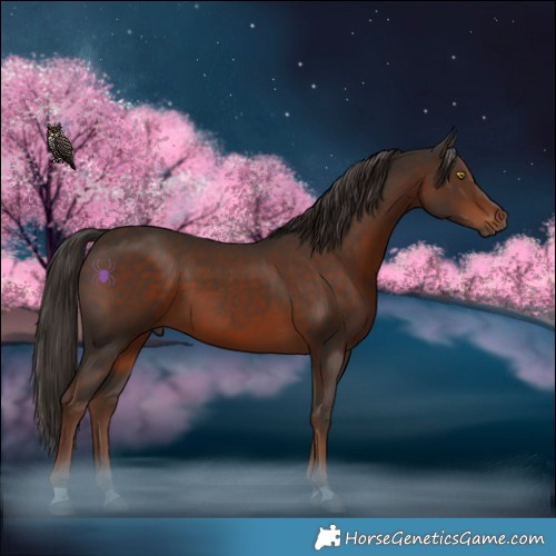 Horse Color:Liver Chestnut 