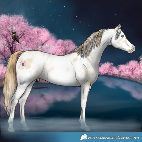 Horse Color:White Spotted Sable Champagne Snowdrop Pearl Appaloosa 