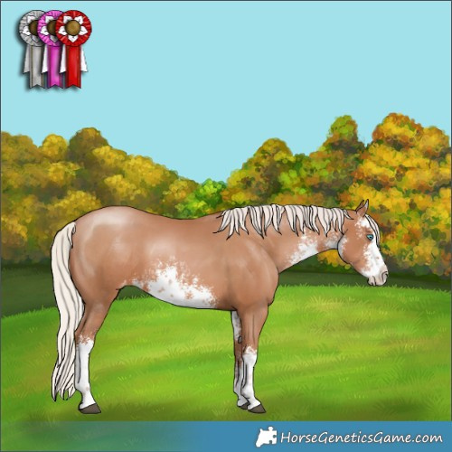 Horse Color:White Spotted Silver Black Pearl Splash Appaloosa 