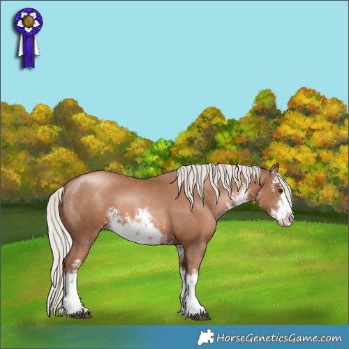 Horse Color:White Spotted Silver Black Pearl Splash Appaloosa 