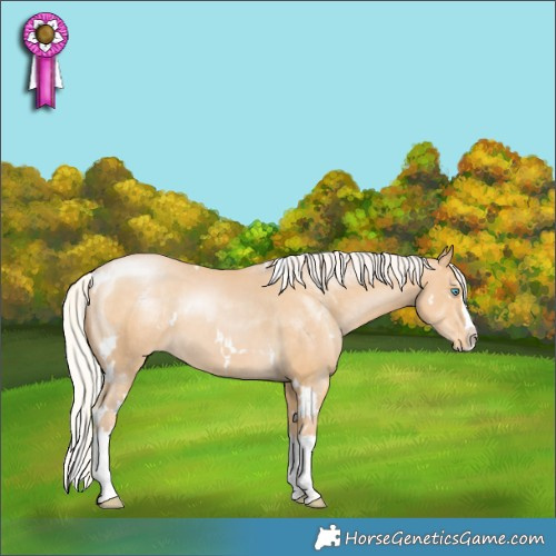 Horse Color:White Spotted Silver Smoky Black Pearl Splash Appaloosa