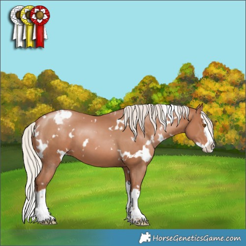 Horse Color:White Spotted Silver Black Pearl Splash Appaloosa