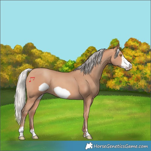 Horse Color:Silver Amber Champagne Frame 