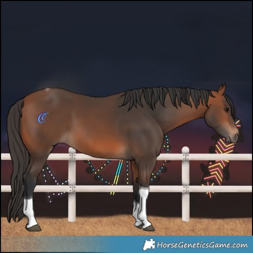 Horse Color:Bay Tobiano