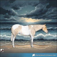 Horse Color:Silver Sable Cream Champagne Roan Tobiano Rabicano 