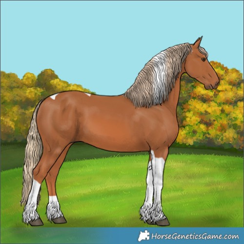 Horse Color:Chestnut Tobiano 