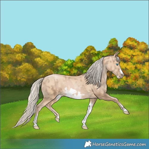 Horse Color:Chocolate Palomino Pearl Tobiano Frame  and Palomino Pearl Tobiano Frame 