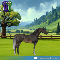 Horse Color:Buckskin Tobiano 