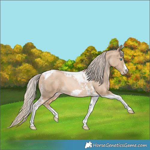Horse Color:Chocolate Palomino Pearl Tobiano Frame  and Chocolate Palomino Pearl Tobiano Frame 