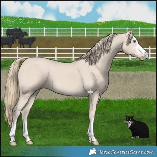 Horse Color:Smoky Creme