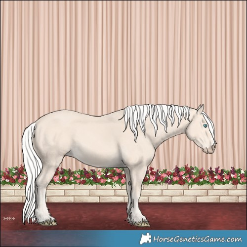 Horse Color:Silver Perlino 