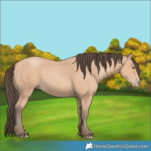 Horse Color:Amber Champagne Rabicano 