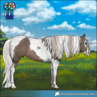 Horse Color:Silver Black Splash Tobiano