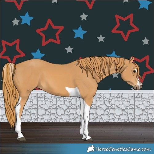 Horse Color:Chestnut Tobiano 