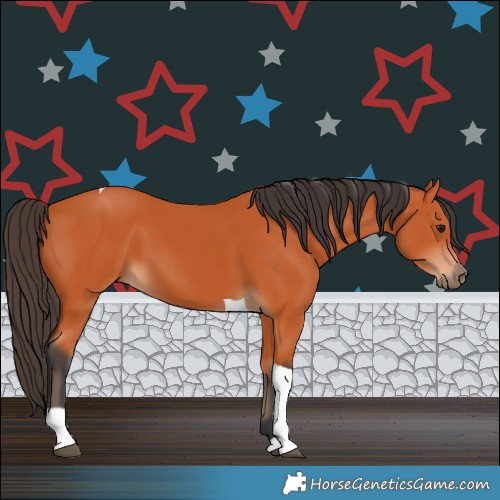 Horse Color:Bay Tobiano 