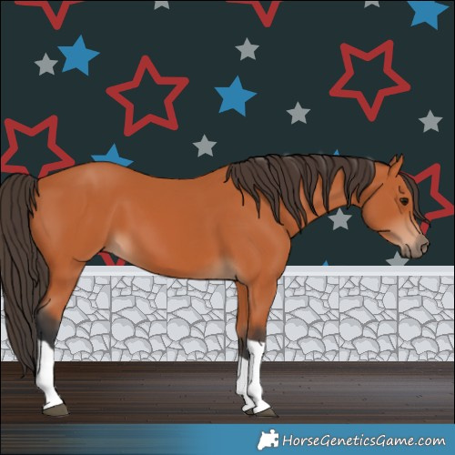 Horse Color:Bay Tobiano 