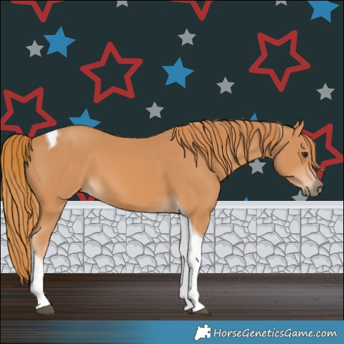 Horse Color:Chestnut Tobiano 