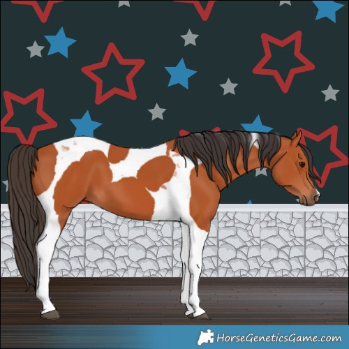 Horse Color:Bay Tobiano 
