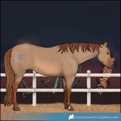 Horse Color:Red Dun