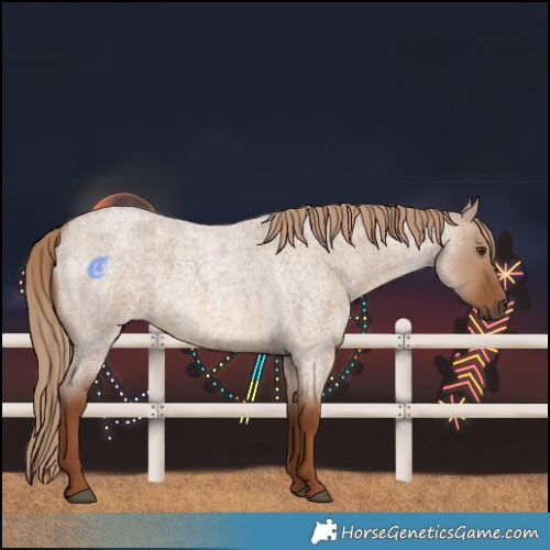 Horse Color:Red Dun Roan 