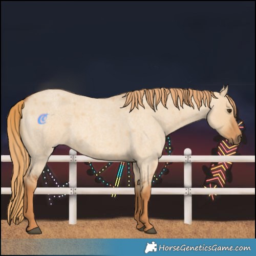 Horse Color:Red Dun Roan