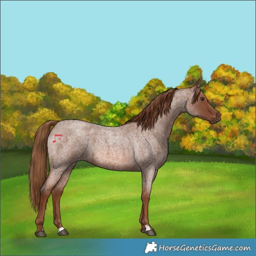 Horse Color:Red Roan 