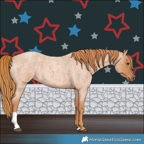 Horse Color:Red Roan Tobiano 