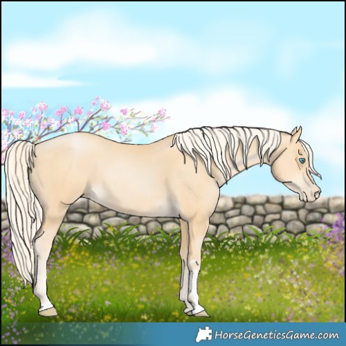 Horse Color:Palomino Pearl