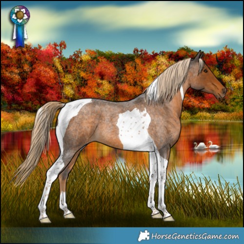 Horse Color:Chocolate Palomino Roan Tobiano