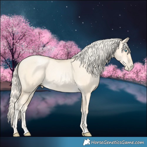 Horse Color:Palomino Pearl Dun 