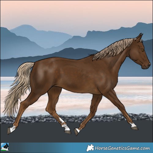 Horse Color:Chocolate Palomino