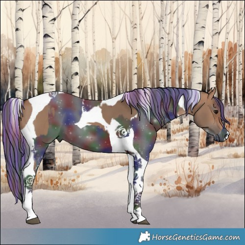 Horse Color:Painted Nacre Brown Dun Tobiano  and Painted Nacre Black Tobiano 