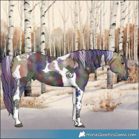 Horse Color:Painted Nacre Brown Dun Tobiano and Painted Nacre Black Tobiano