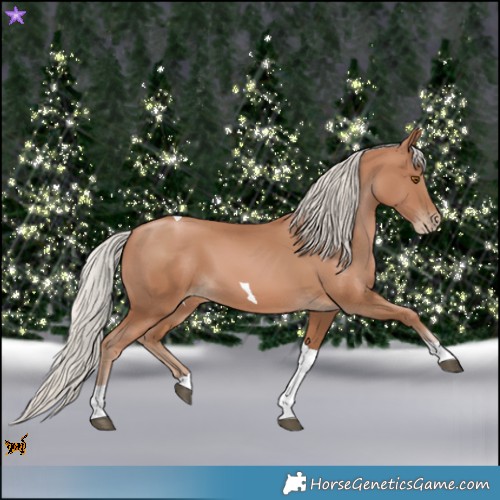 Horse Color:Silver Black Pearl Tobiano 