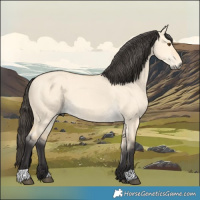 Horse Color:Buckskin Dun