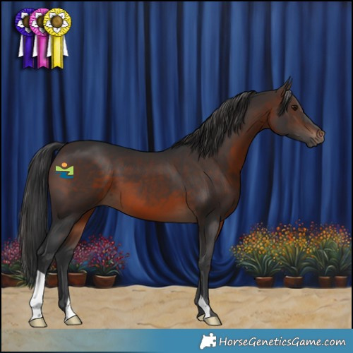 Horse Color:Brown 