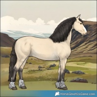 Horse Color:Buckskin Dun 