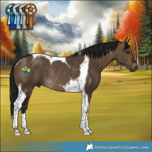 Horse Color:Gray Bay Dun Tobiano Rabicano 