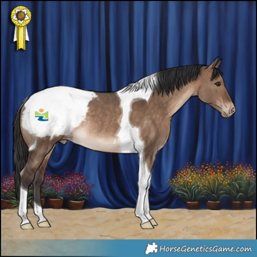 Horse Color:Brown Dun Tobiano Snowcap Rabicano