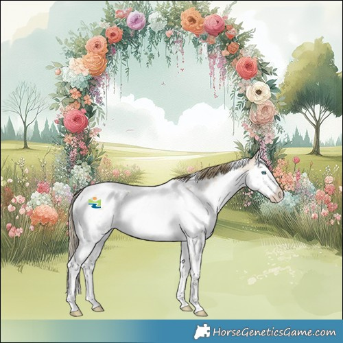 Horse Color:White Spotted Buckskin Pearl Dun Splash Tobiano Appaloosa Rabicano 