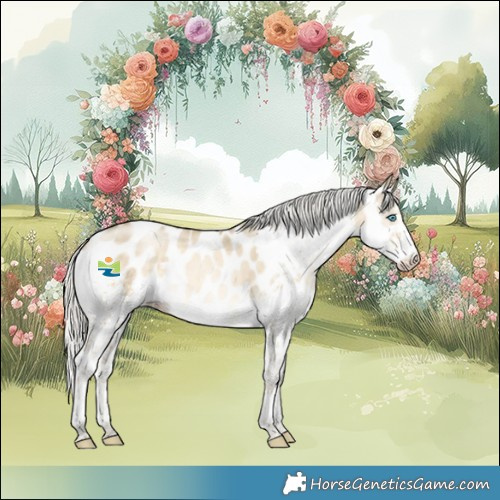 Horse Color:White Spotted Silver Brown Snowdrop Pearl Dun Splash Tobiano Near Leopard Rabicano